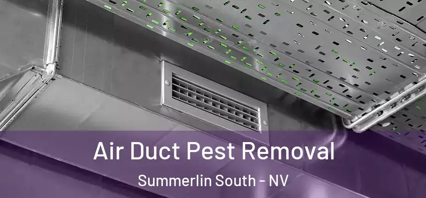Air Duct Pest Removal Summerlin South - NV