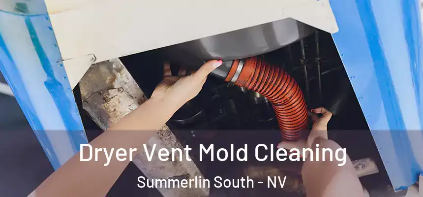 Dryer Vent Mold Cleaning Summerlin South - NV