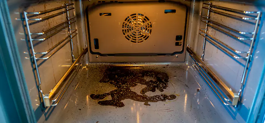 Our Dryer Vent Mold Cleaning Services in Summerlin South, NV