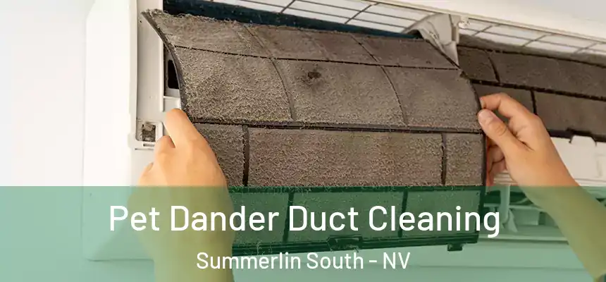 Pet Dander Duct Cleaning Summerlin South - NV