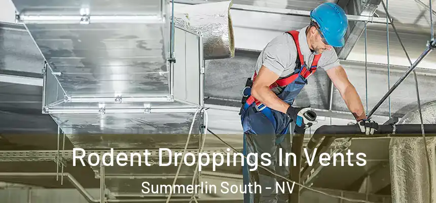  Rodent Droppings In Vents Summerlin South - NV