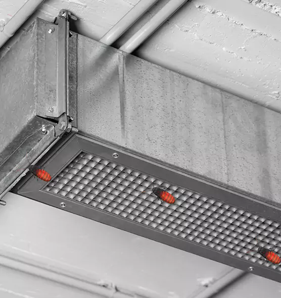 About Air Duct Cockroach Removal in Summerlin South, NV