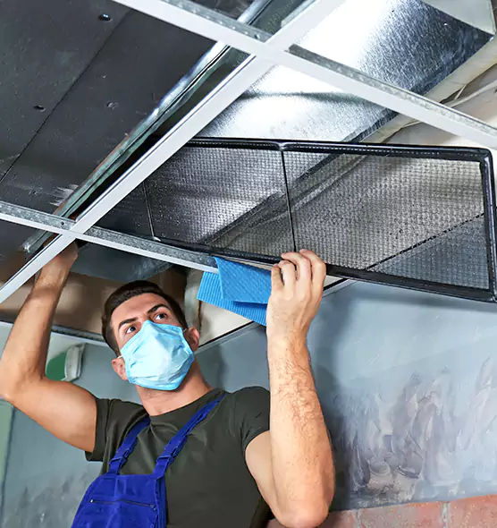 Professional Air Duct Pollen Cleaning in Summerlin South, NV