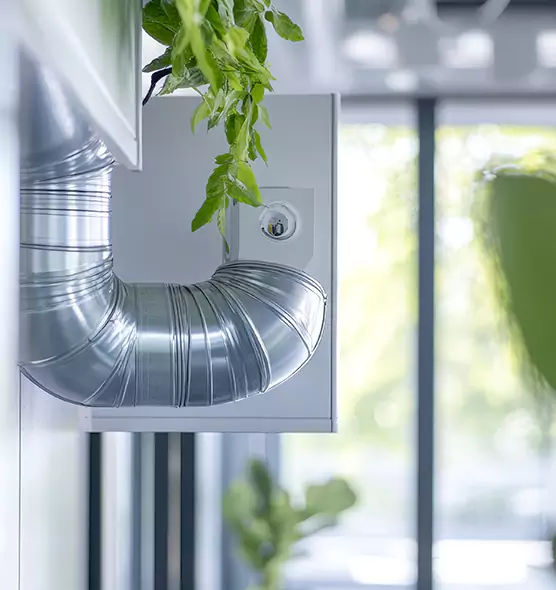 Professional Eco-Friendly Duct Cleaning Services in Summerlin South, NV