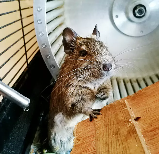 Why Homeowners & Businesses Trust Us Summerlin South, NV?