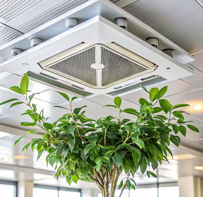 Why Homeowners & Businesses Trust Us in Summerlin South, NV?